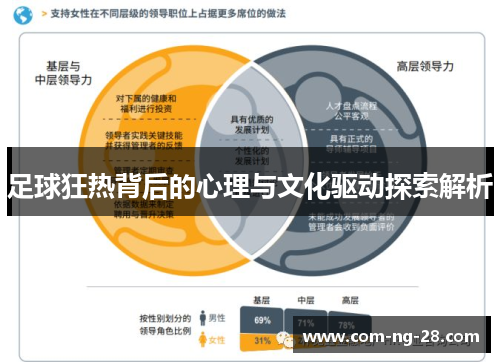 足球狂热背后的心理与文化驱动探索解析