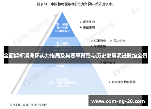 全面解析澳洲杯实力格局及其赛事背景与历史发展演进脉络全景 全面解析澳洲杯实力格局及其赛事背景与历史发展演进脉络全景