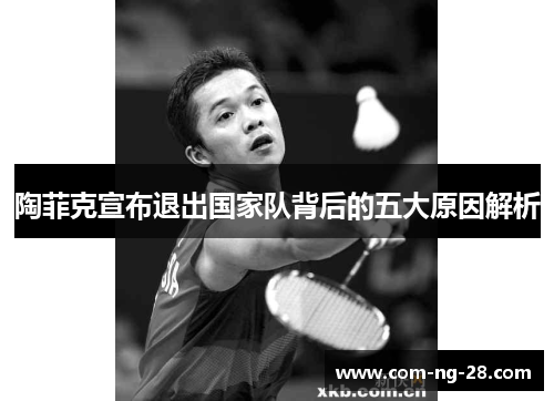 陶菲克宣布退出国家队背后的五大原因解析