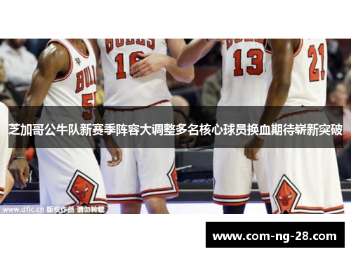 芝加哥公牛队新赛季阵容大调整多名核心球员换血期待崭新突破