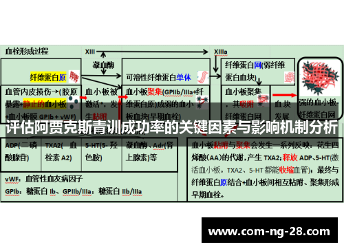 评估阿贾克斯青训成功率的关键因素与影响机制分析