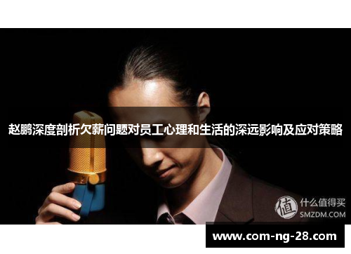 赵鹏深度剖析欠薪问题对员工心理和生活的深远影响及应对策略