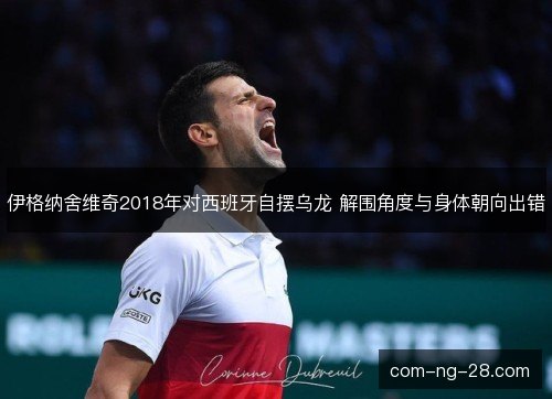 伊格纳舍维奇2018年对西班牙自摆乌龙 解围角度与身体朝向出错