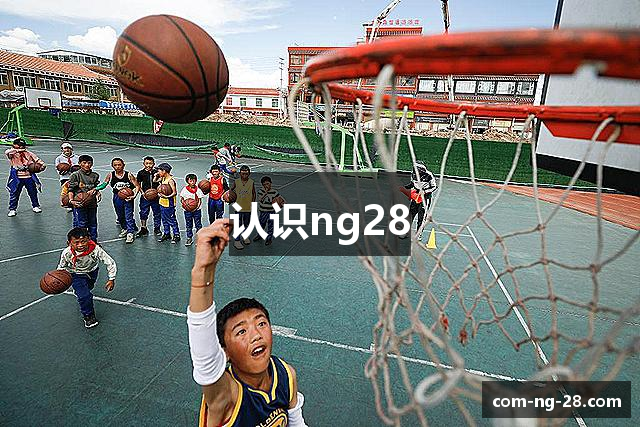 认识ng28